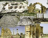 Volubilis Collage