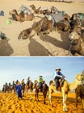 Start of Camel Ride into Erg Chebbi
