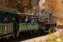 Steaming Back To Spruce Junction.