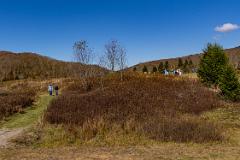 Spruce Ghost Town