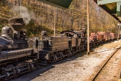 The Cass Scenic Railroad Yards