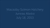 Alaska Trip - Juneau - Macaulay Salmon Hatchery