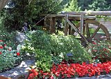 Alaska Trip - Victoria - Buchart Gardens