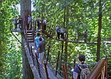 Alasaka Trip - North Vancouver - Capilano Suspension Bridge Park - Tree Tops Adventure
