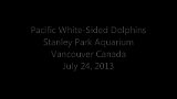 Alaska Trip - Vancouver - Vancouver Aquarium Dolphin Jumping