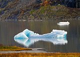 Iceberg In Mendenhall Lake