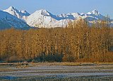 View Across Chilkat River From Milepost 21 Turnout