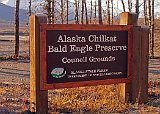 Alaska Chilkat Bald Eagle Preserve
