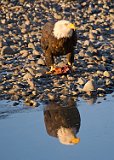 Mirror, Mirror on the Water...